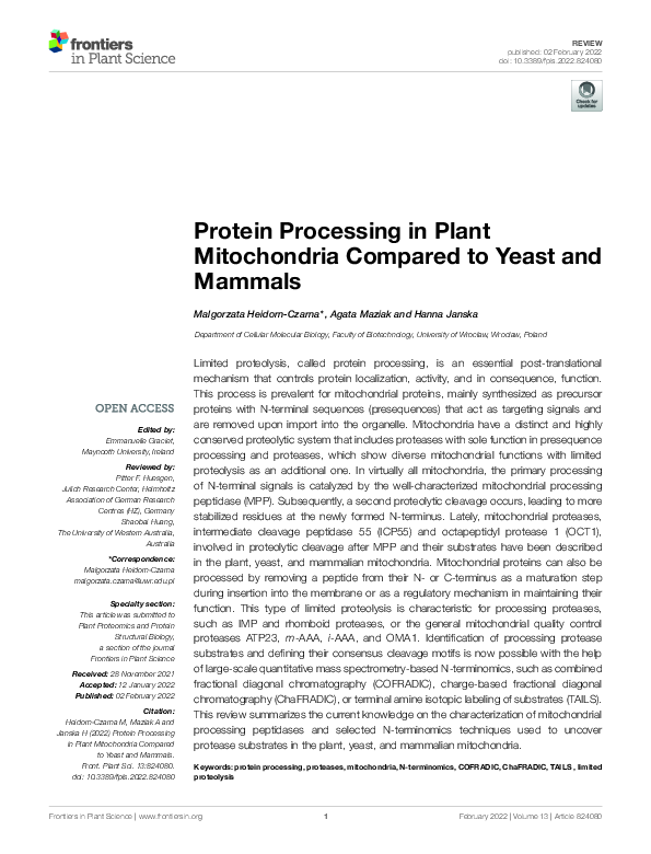 (PDF) Protein Processing in Plant Mitochondria Compared to Yeast and ...