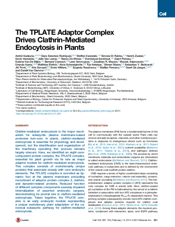 (PDF) The TPLATE Adaptor Complex Drives Clathrin-Mediated Endocytosis ...
