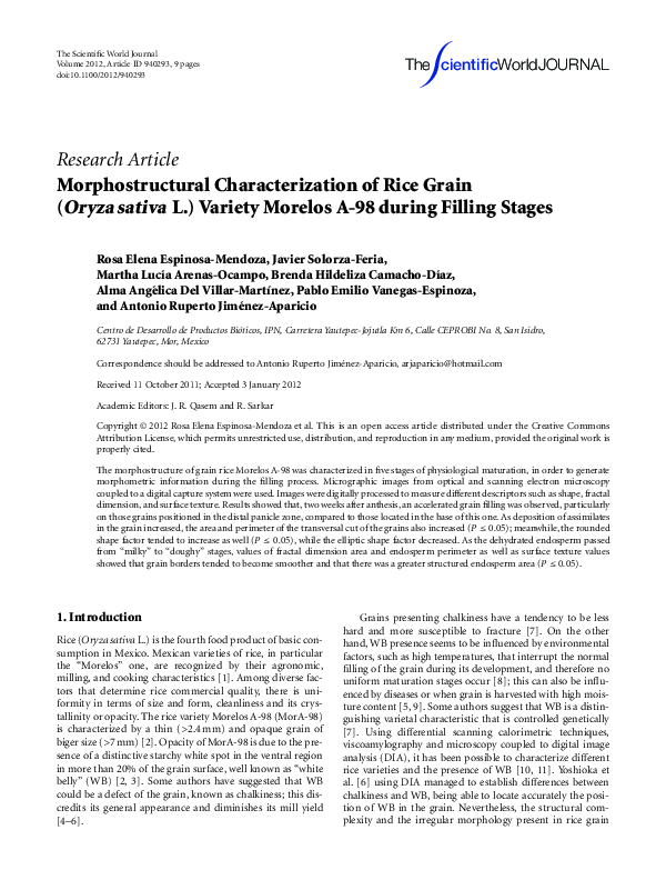 (PDF) Morphostructural Characterization of Rice Grain (Oryza sativaL ...