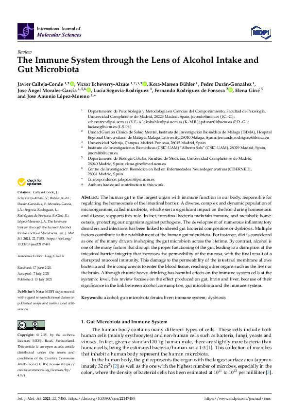 (PDF) The Immune System through the Lens of Alcohol Intake and Gut ...