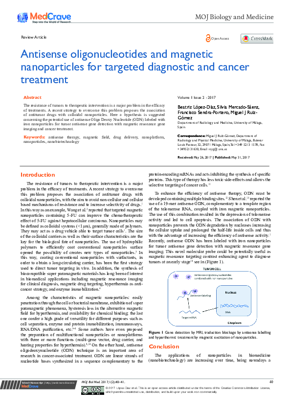 (PDF) Antisense Oligonucleotides and Magnetic Nanoparticles for ...