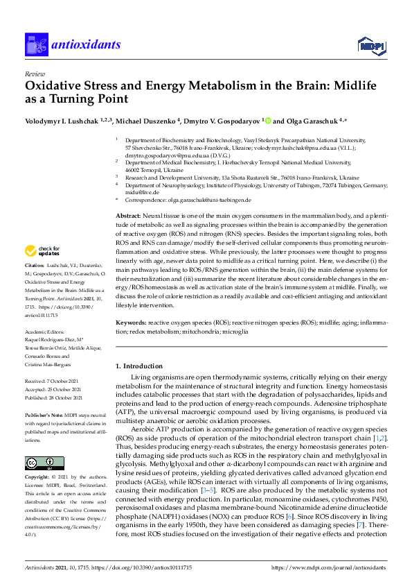 (PDF) Oxidative Stress and Energy Metabolism in the Brain: Midlife as a ...