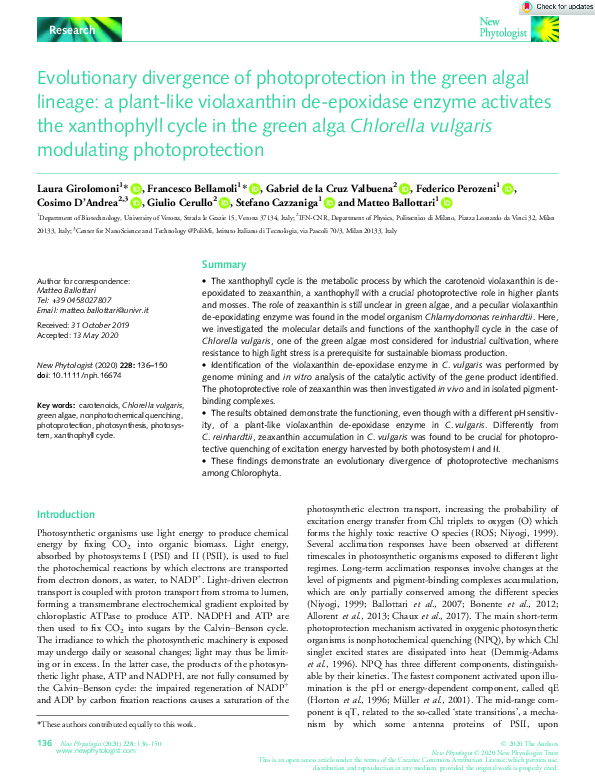 (PDF) Evolutionary divergence of photoprotection in the green algal ...