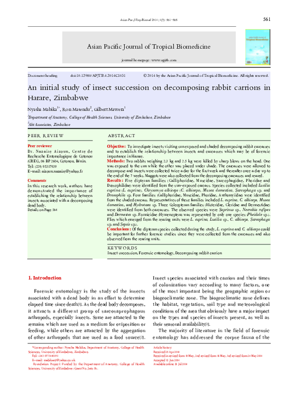 (PDF) An initial study of insect succession on decomposing rabbit ...
