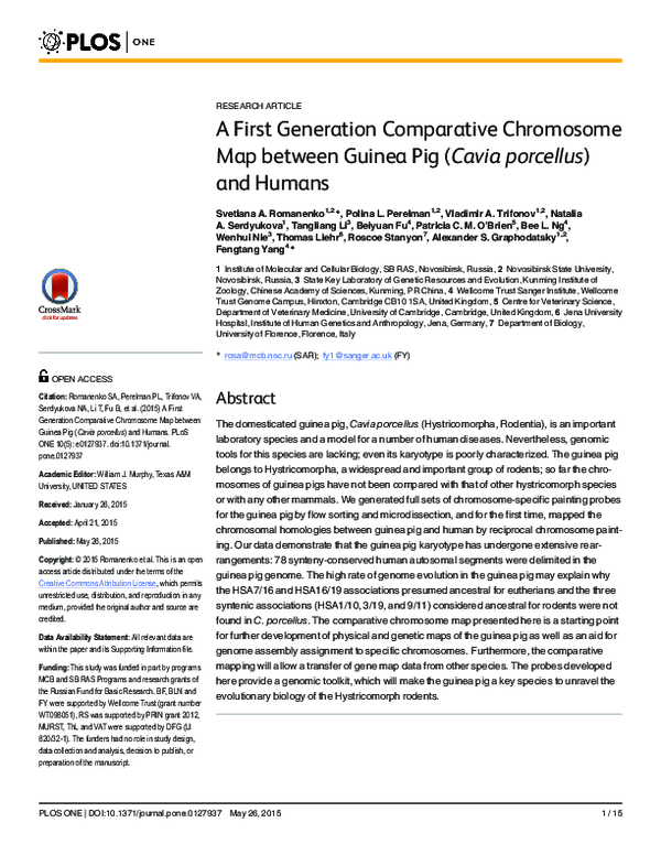(PDF) A First Generation Comparative Chromosome Map between Guinea Pig ...