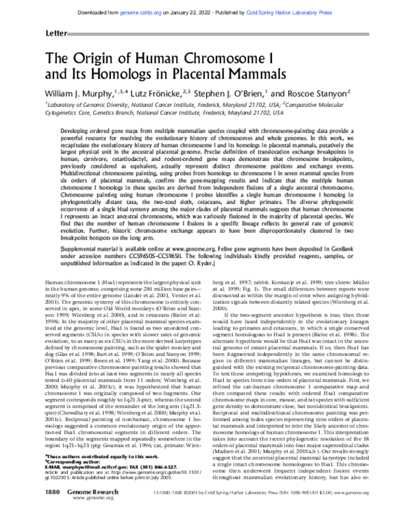(PDF) The Origin of Human Chromosome 1 and Its Homologs in Placental ...