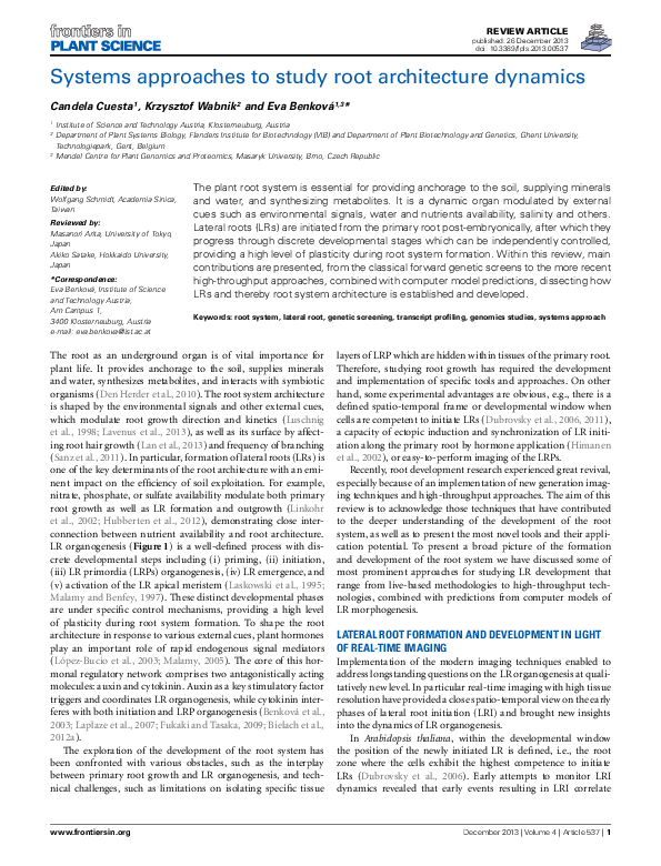 (PDF) Systems approaches to study root architecture dynamics