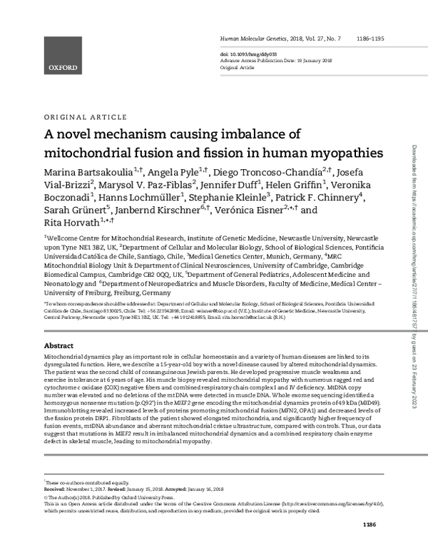 (PDF) A novel mechanism causing imbalance of mitochondrial fusion and ...