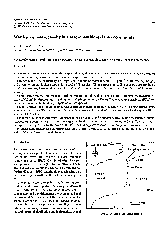 (PDF) Multi-scale heterogeneity in a macrobenthic epifauna community