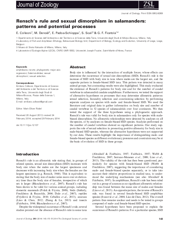 (PDF) R ensch's rule and sexual dimorphism in salamanders: patterns and ...