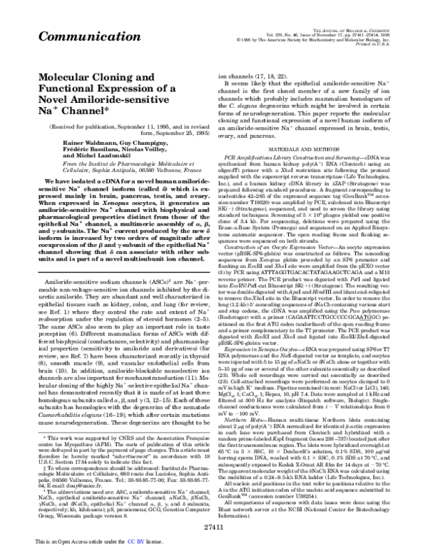 (PDF) Molecular Cloning and Functional Expression of a Novel Amiloride ...