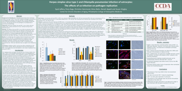 (PDF) Herpes simplex virus type 1 and Chlamydia pneumoniae infection of ...