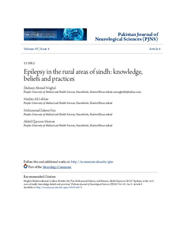 (PDF) Epilepsy in the Rural Areas of Sindh: Knowledge, Beliefs and ...