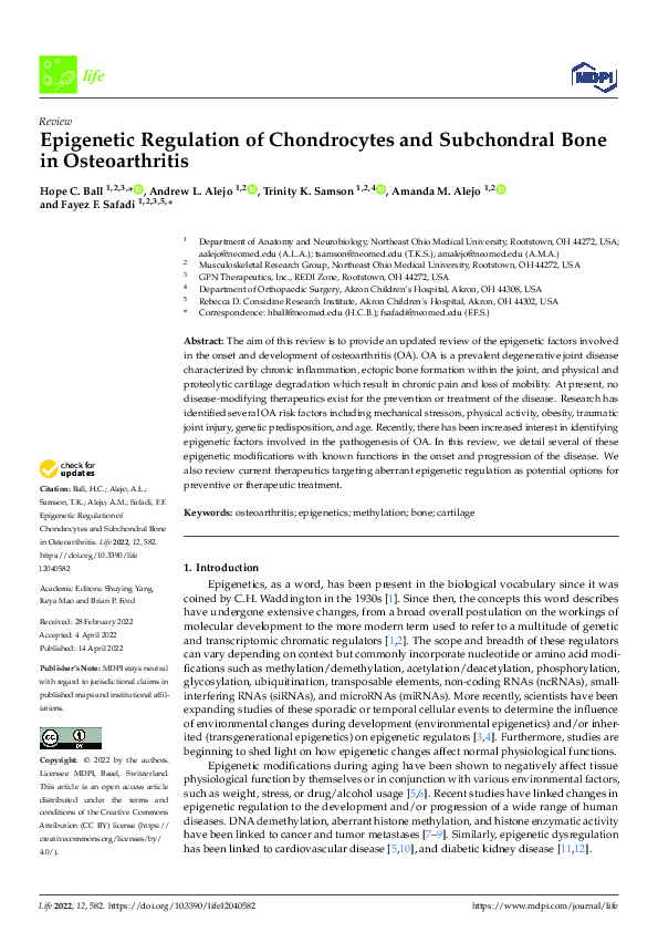 (PDF) Epigenetic Regulation of Chondrocytes and Subchondral Bone in ...