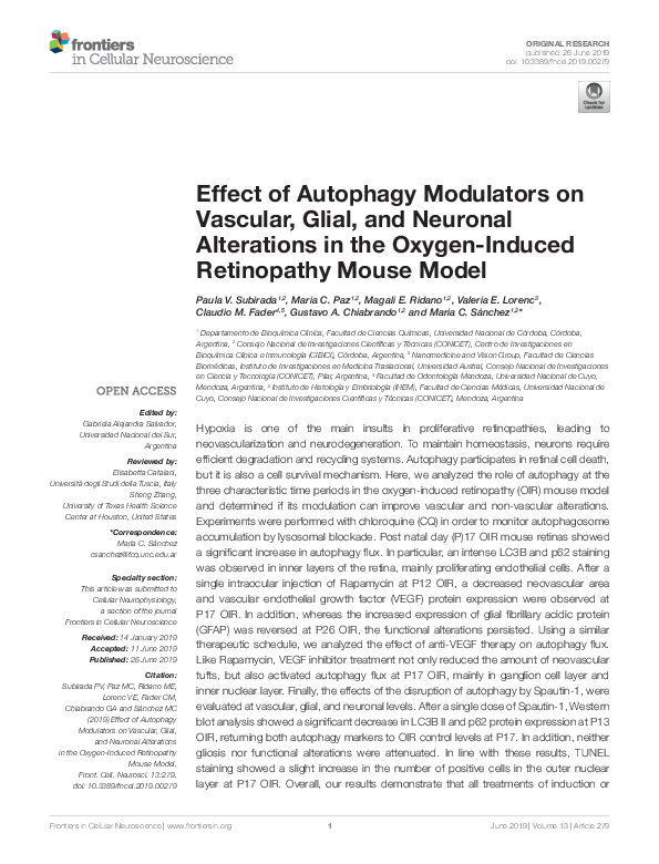 (PDF) Effect of Autophagy Modulators on Vascular, Glial, and Neuronal ...