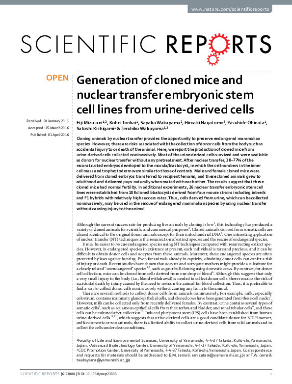 (PDF) Generation of cloned mice and nuclear transfer embryonic stem ...