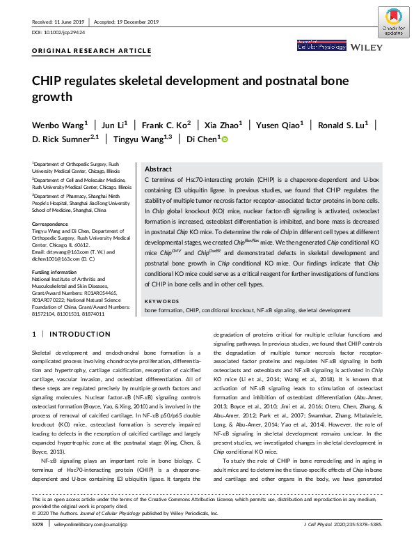 (PDF) CHIP regulates skeletal development and postnatal bone growth