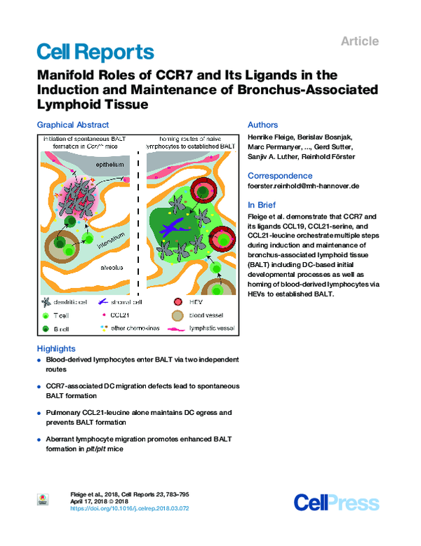 (PDF) Manifold Roles of CCR7 and Its Ligands in the Induction and ...