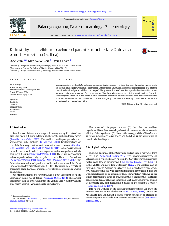 (PDF) Earliest rhynchonelliform brachiopod parasite from the Late ...
