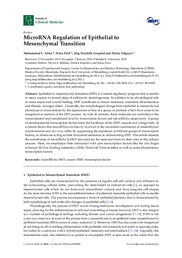 (PDF) MicroRNA Regulation of Epithelial to Mesenchymal Transition
