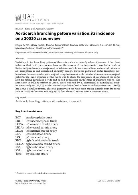 (PDF) Aortic arch branching pattern variation: its incidence on a 20030 ...