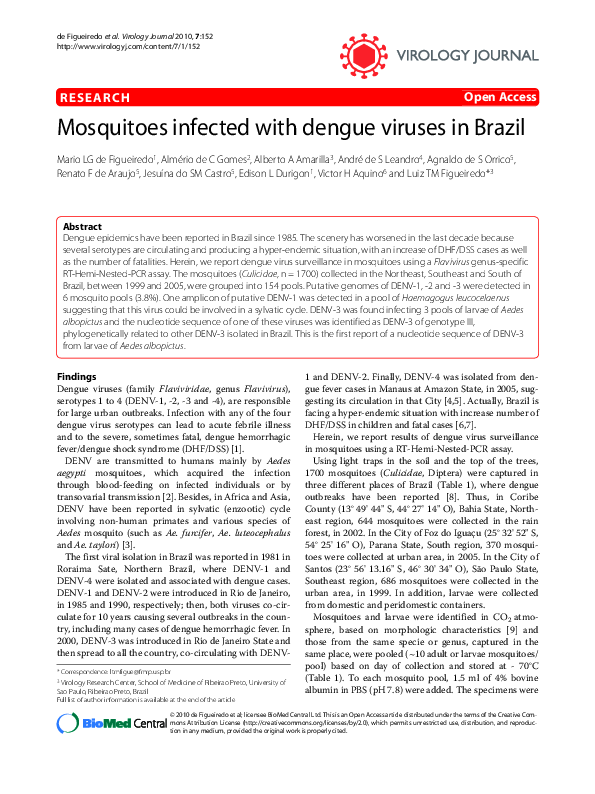 (PDF) Mosquitoes infected with dengue viruses in Brazil