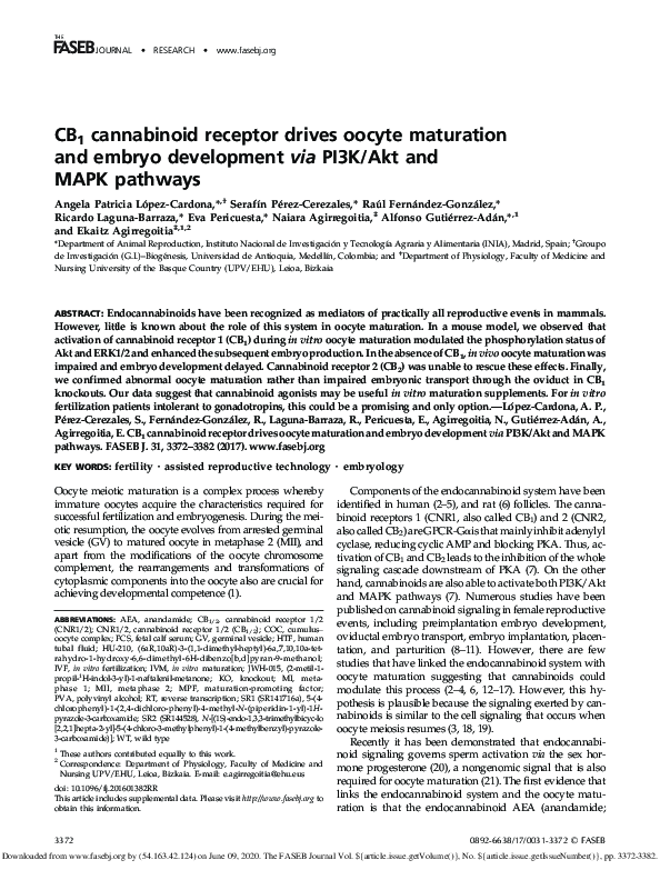 (PDF) CB 1 cannabinoid receptor drives oocyte maturation and embryo ...