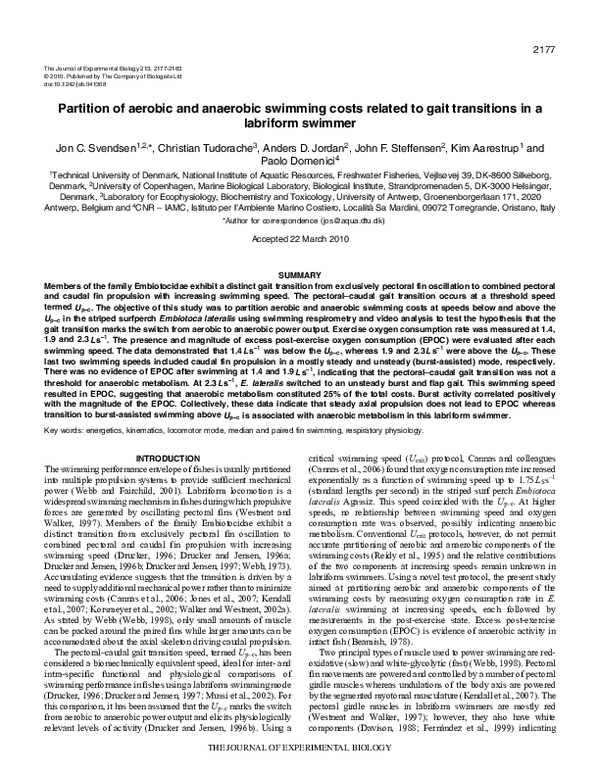 (PDF) Partition of aerobic and anaerobic swimming costs related to gait ...