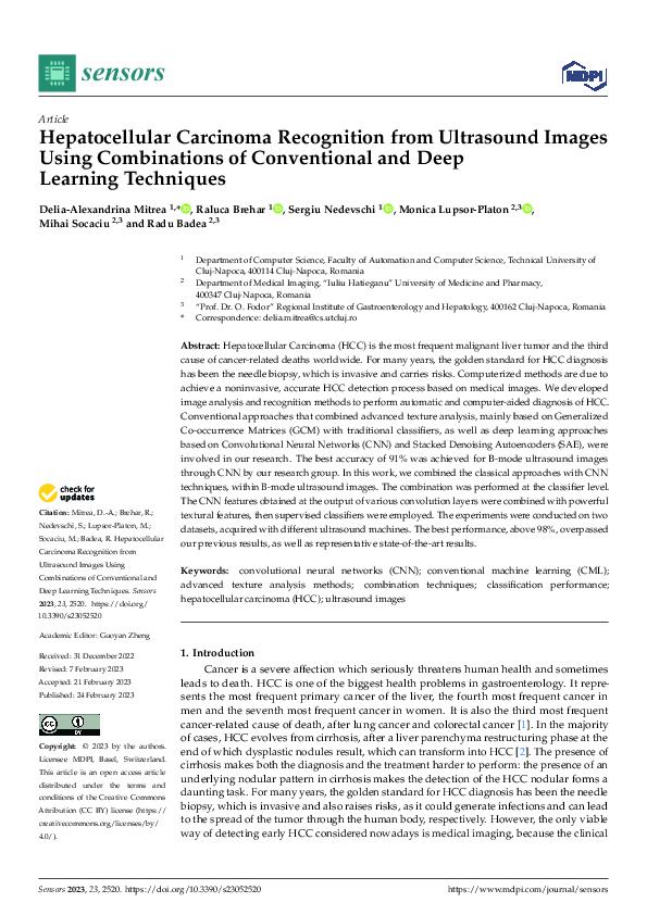 (PDF) Hepatocellular Carcinoma Recognition from Ultrasound Images Using ...