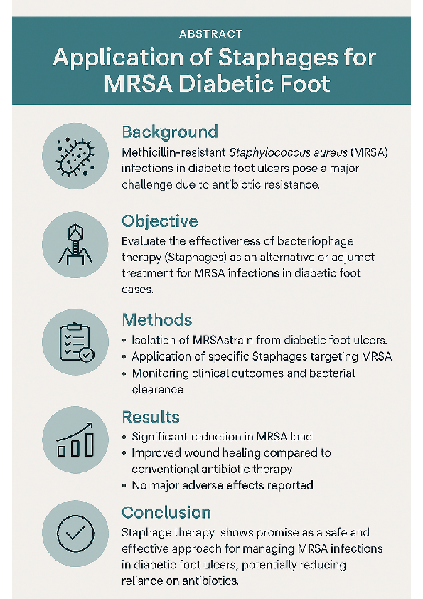 (PDF) BIOMEDICINE Application of Staphages for MRSA Diabetic Foot-Third ...