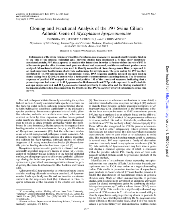 (PDF) Cloning and functional analysis of the P97 swine cilium adhesin ...