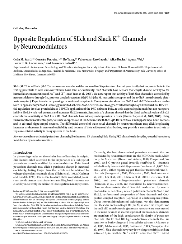 (PDF) Opposite Regulation of Slick and Slack K + Channels by ...