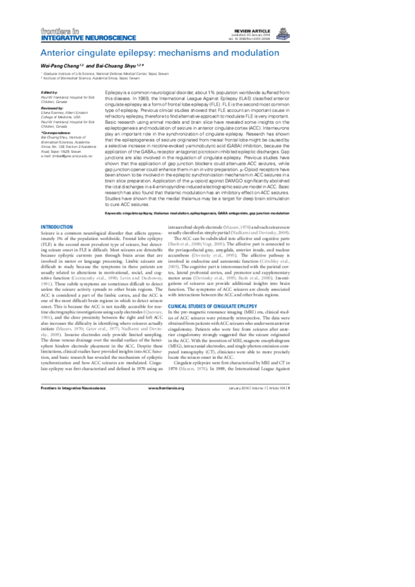 (PDF) Anterior Cingulate epilepsy: mechanisms and modulation