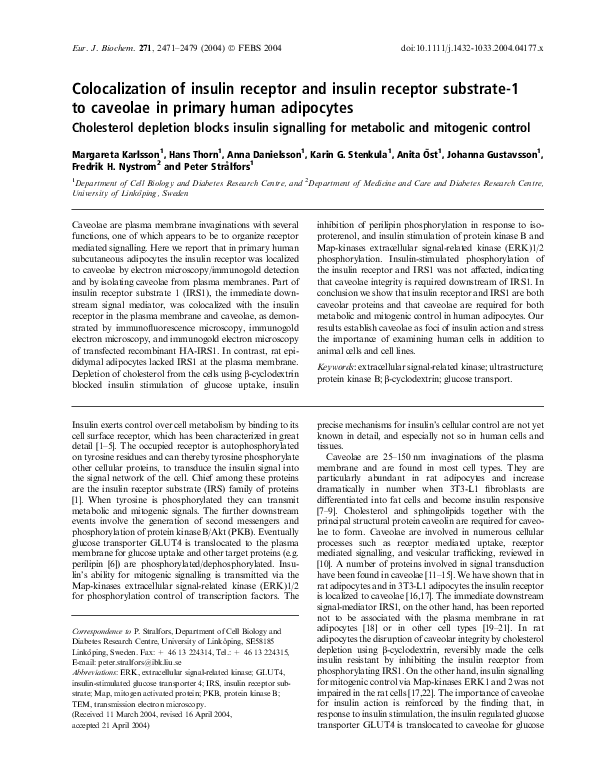 (PDF) Colocalization of Insulin Receptor and Insulin Receptor Substrate ...
