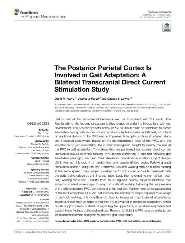 (PDF) The Posterior Parietal Cortex Is Involved in Gait Adaptation: A ...
