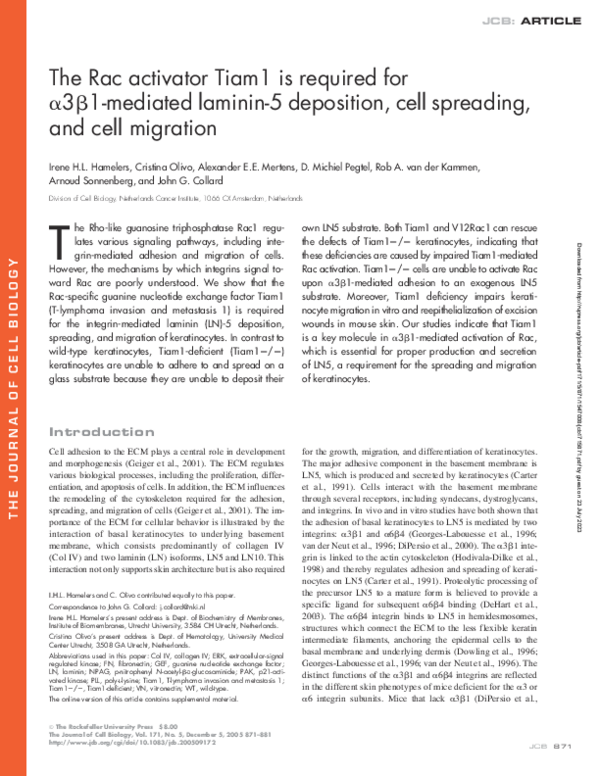 (PDF) The Rac activator Tiam1 is required for α3β1-mediated laminin-5 ...