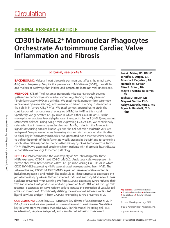 (PDF) CD301b/MGL2 + Mononuclear Phagocytes Orchestrate Autoimmune ...