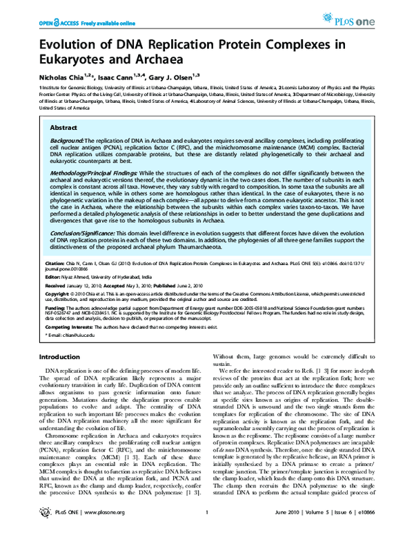 (PDF) Evolution of DNA Replication Protein Complexes in Eukaryotes and ...