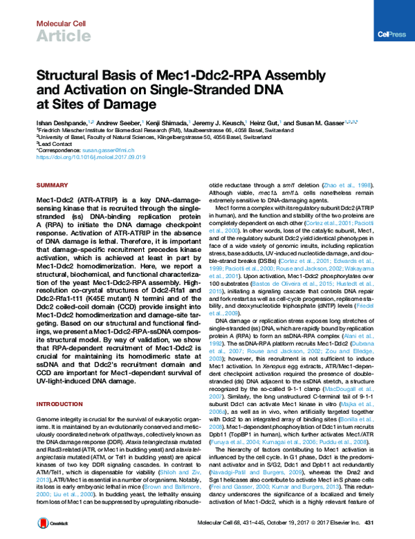 (PDF) Structural Basis of Mec1-Ddc2-RPA Assembly and Activation on ...