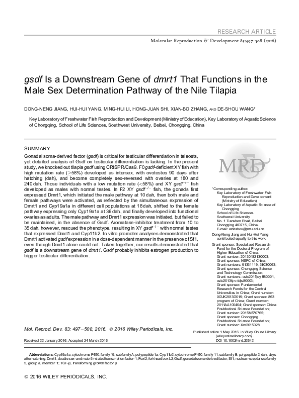 (PDF) gsdf is a downstream gene of dmrt1 that functions in the male sex ...
