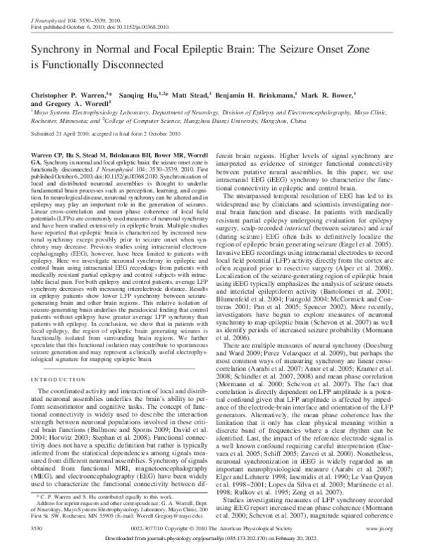 (PDF) Synchrony in Normal and Focal Epileptic Brain: The Seizure Onset ...