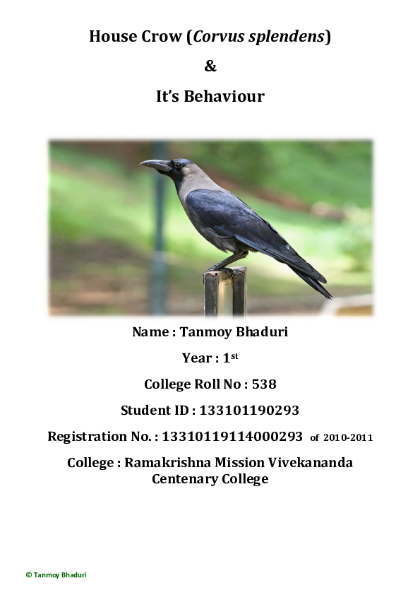 (DOC) FIELD REPORT ON HOUSE CROW AND ITS BEHAVIOUR Tanmoy Bhaduri