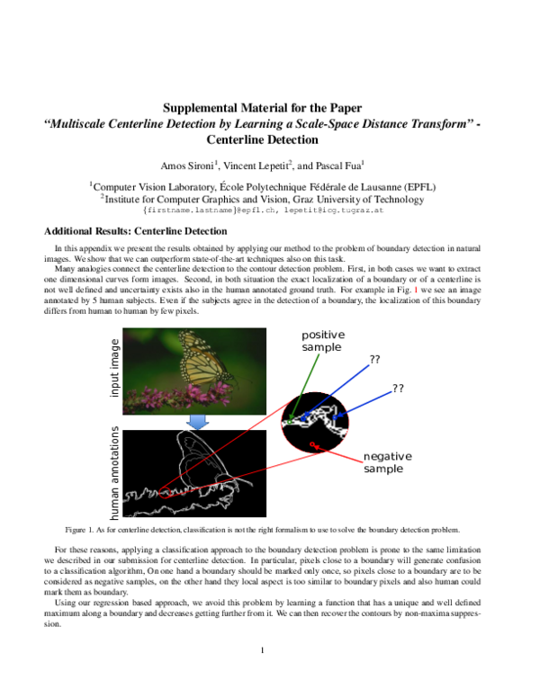 (PDF) Supplemental Material for the Paper “ Multiscale Centerline ...