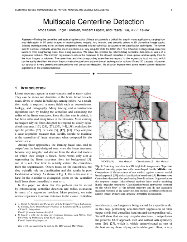 (PDF) Multiscale Centerline Detection