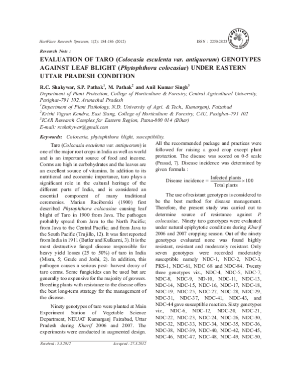 Article about taro picture