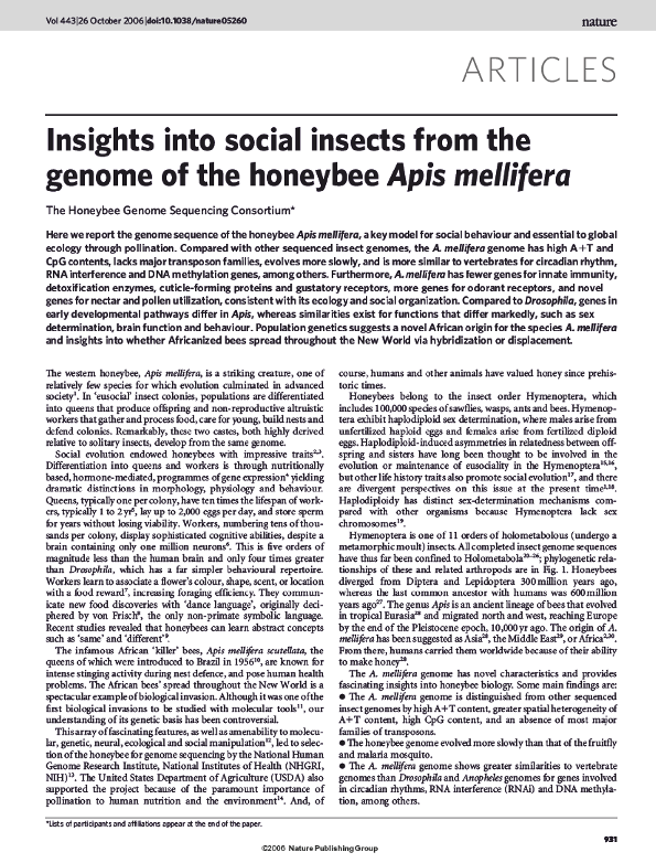 (PDF) Insights into social insects from the genome of the honeybee Apis ...