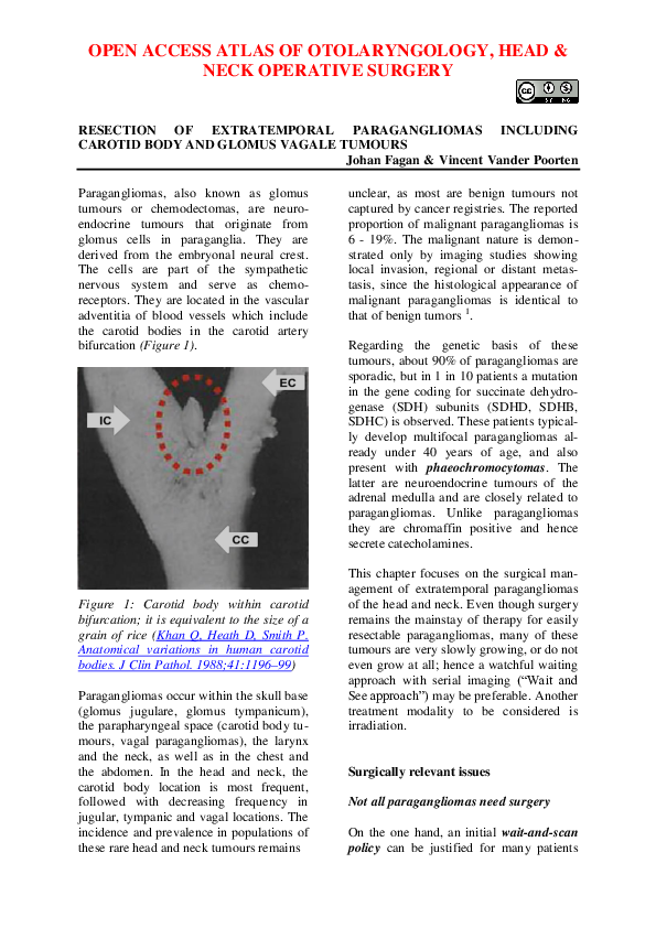 (PDF) Resection of Extratemporal Paragangliomas including Carotid Body ...