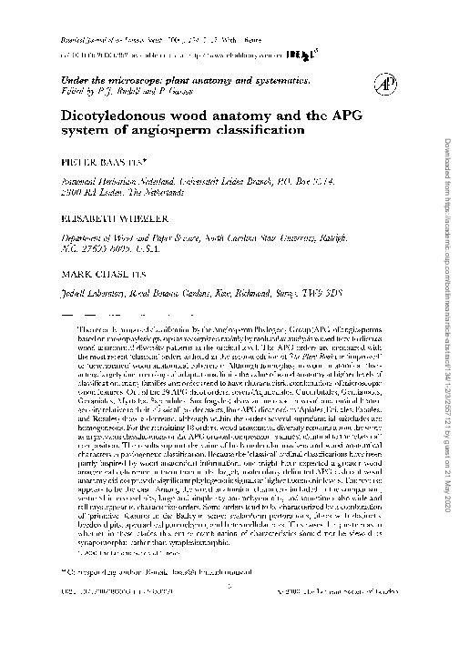 (PDF) Dicotyledonous wood anatomy and the APG system of angiosperm ...