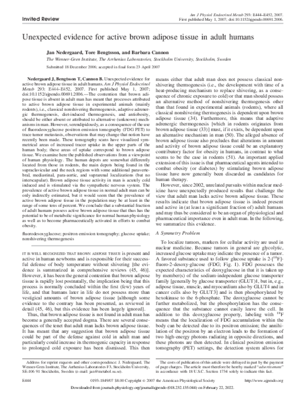 (PDF) Unexpected evidence for active brown adipose tissue in adult humans
