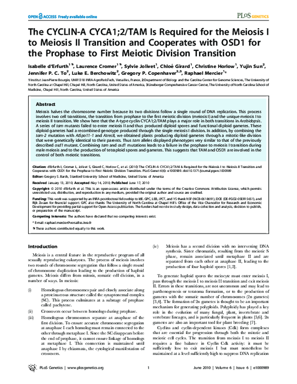 (PDF) The CYCLIN-A CYCA1;2/TAM Is Required for the Meiosis I to Meiosis ...